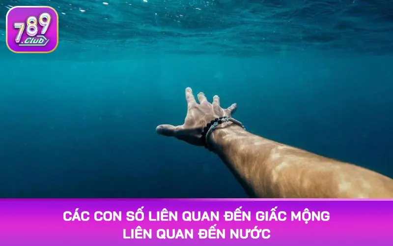 Các con số liên quan đến giấc mộng liên quan đến nước