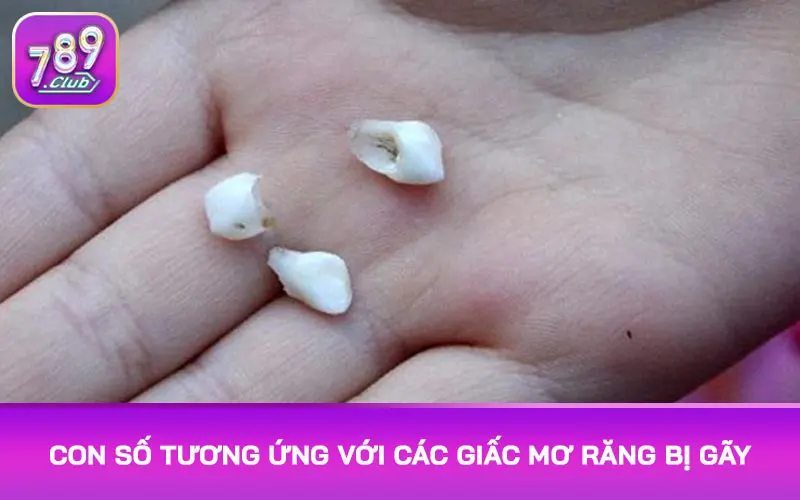 Con số tương ứng với các giấc mơ răng bị gãy