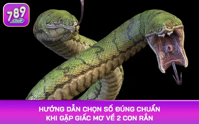 Hướng dẫn chọn số đúng chuẩn khi gặp giấc mơ về 2 con rắn